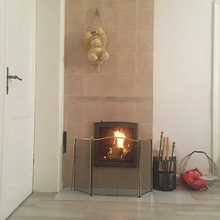 公寓 Heart Of 里加